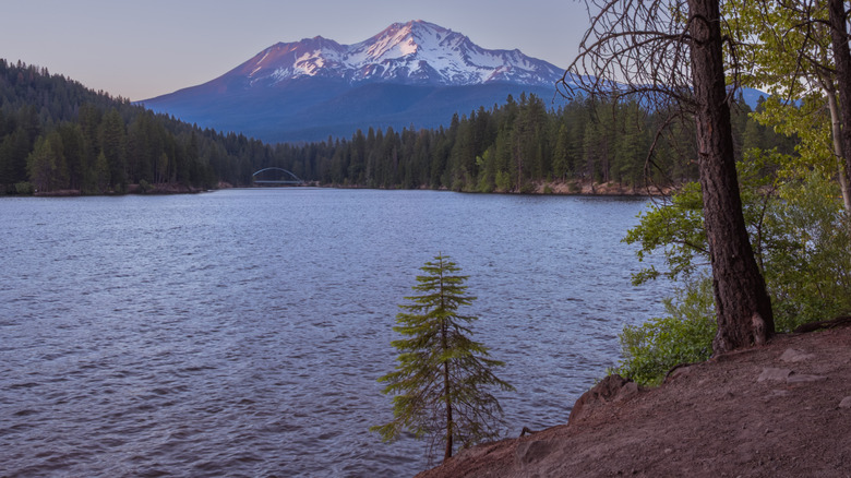 Mount Shasta in the background from Lake Siskiyou