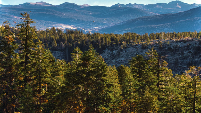 A view of Dinkey Lakes Wilderness in California