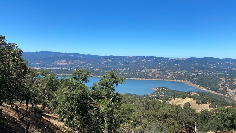 View of Lake Mendocino from a hiking trail