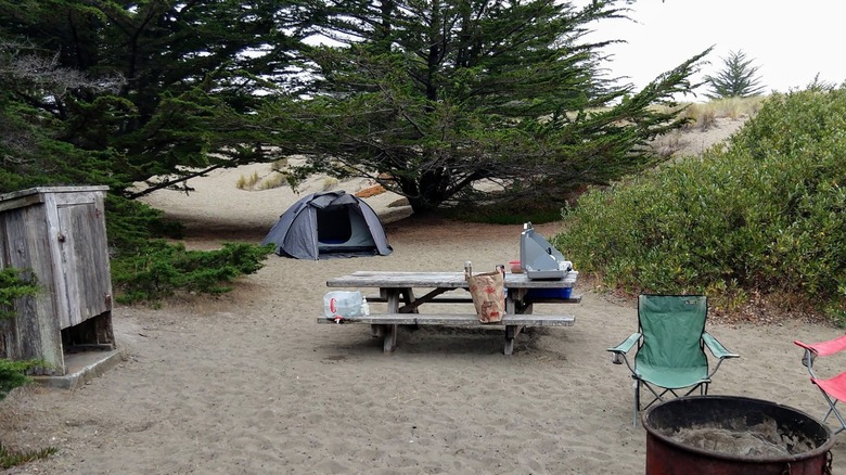 Sandy campsite at Bodega Dunes with wooden picnic table, tent, and two camping chairs surrounded by trees