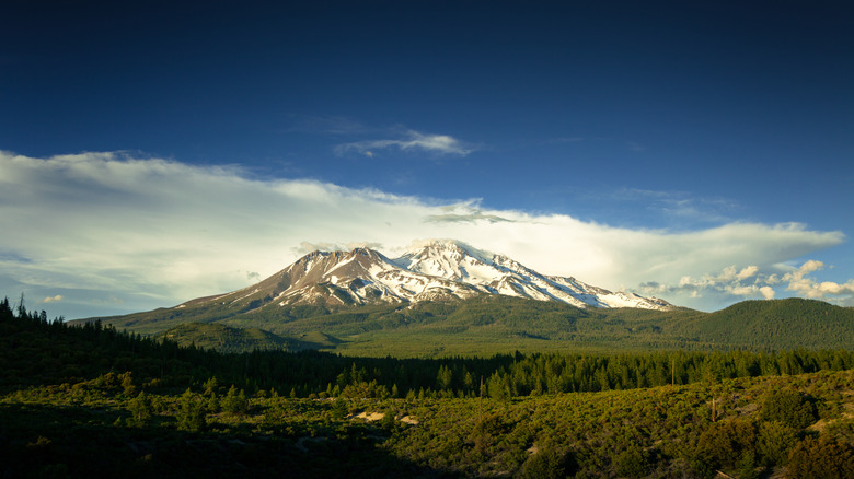 View of Mount Shasta with big blue skies and billowing white clouds
