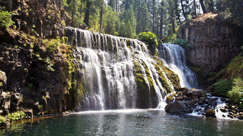 Waterfall on the McCloud River