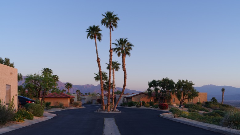 Entrance of a pretty, high-end residential neighborhood in Borrego Springs, California, on a clear evening surrounded by palm trees