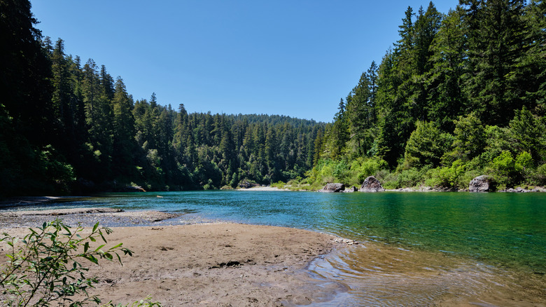 Smith River in Jedediah Smith Redwoods State Park