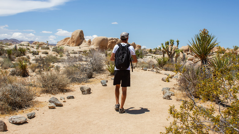 Hiker on a desert trail in California's Joshua Tree National Park with boulders
