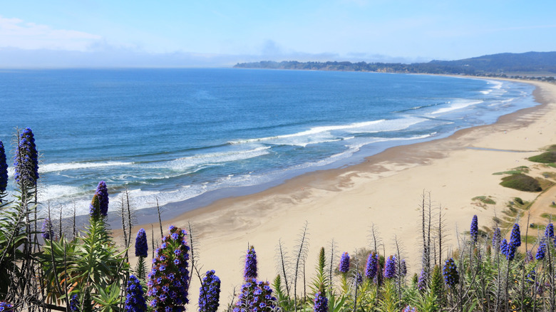 Blue skies and golden sand at Stinson Beach