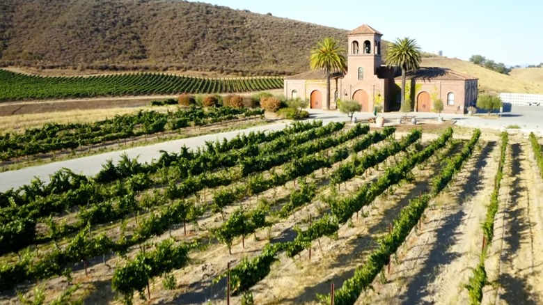 Eden Rift Vineyards vines and a winery building