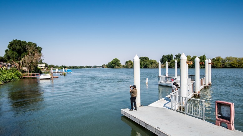 A person taking a photo on a dock in the Sacramento River in Isleton, California