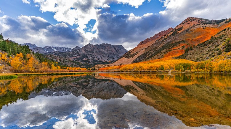 Fall colors in trees at North Lake in Bishop Creek Canyon