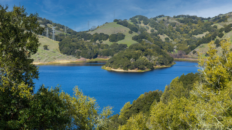 Orinda has an extensive trail network that includes hikes around water sources like the Briones Reservoir