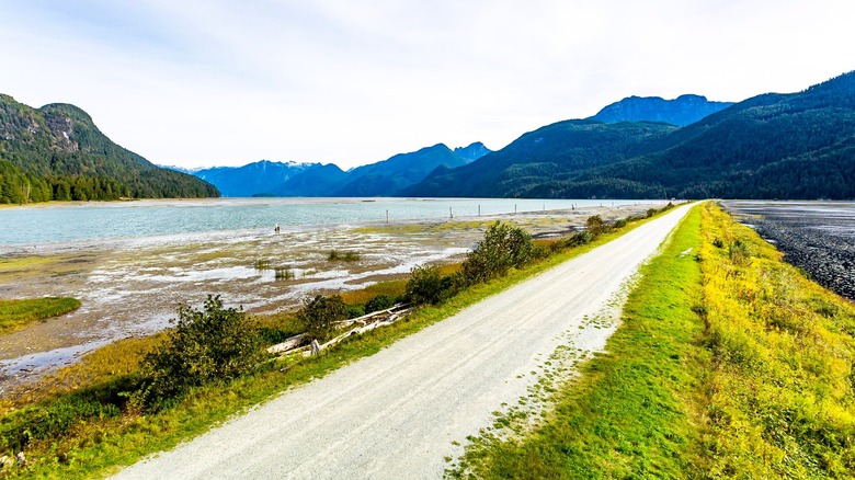 Gravel path running between waters and blue mountains in Pitt River Greenway Park