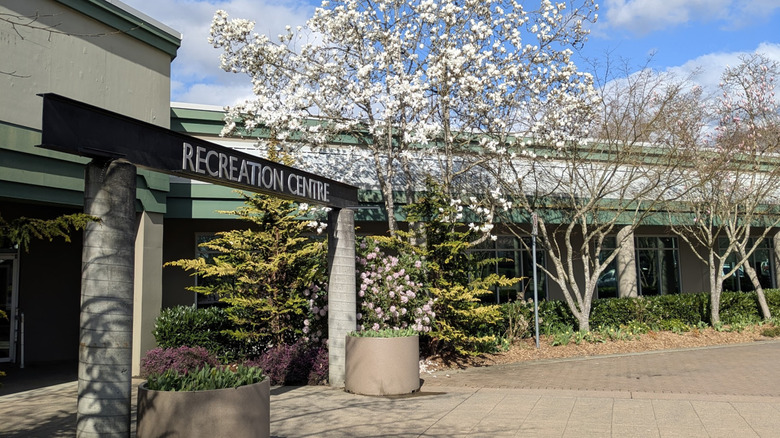 Cherry blossom trees outside of Pitt Meadows Recreation Centre building