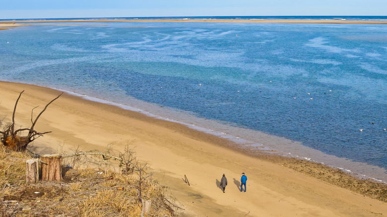 Aerial view of beach at Monomoy National Wildlife Refuge, Massachusetts