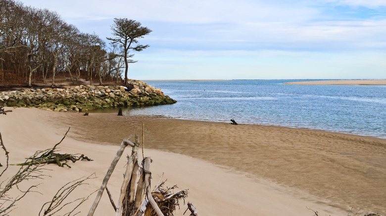 Wild shoreline landscape at Monomoy National Wildlife Refuge in Massachusetts