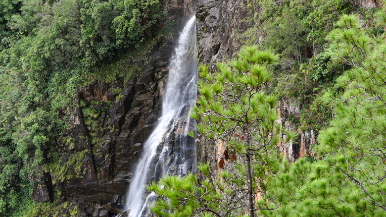 Thousand Foot Falls in Belize cascading down a lush cliff