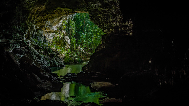 Entrance to Rio Frio Cave and verdant forest
