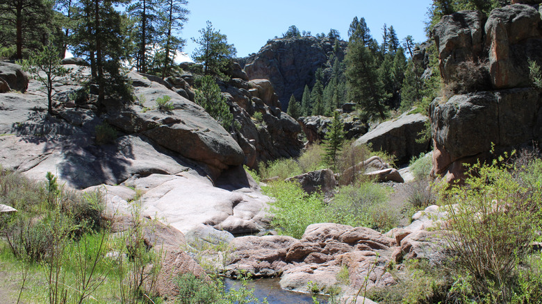 The rocks and trees of Guffey gorge in bright sunlight