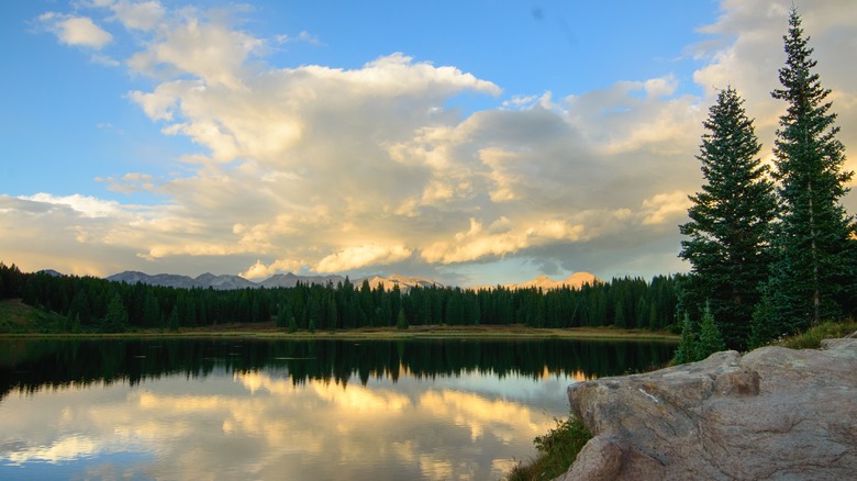 A calm, reflective lake surrounded by pine trees and a rock