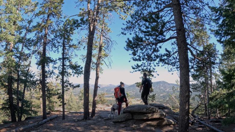 View of Evergreen Trail