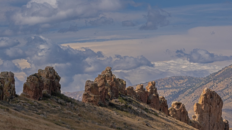 Impressive devil's backbone hogback
