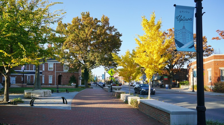 Tree-lined street in Westerville, Ohio