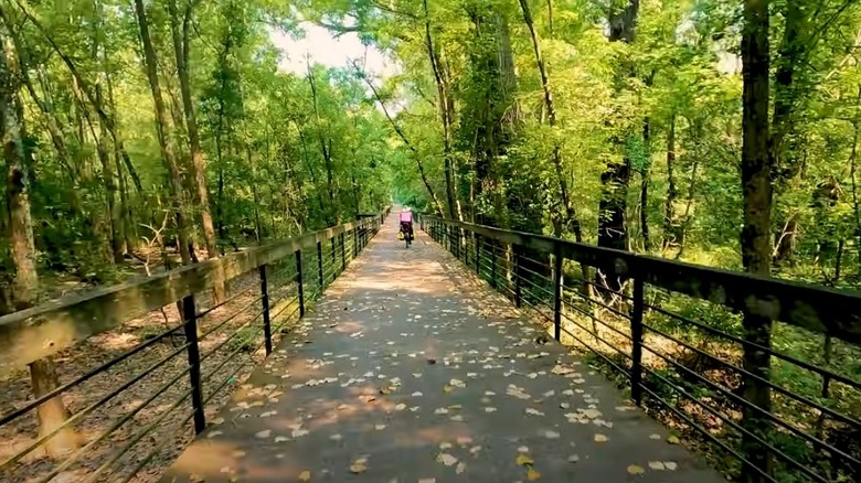 Bicyclist on the Ohio to Erie Trail