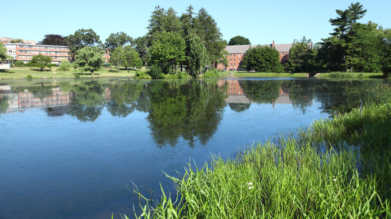 A scenic lake at University of Connecticut