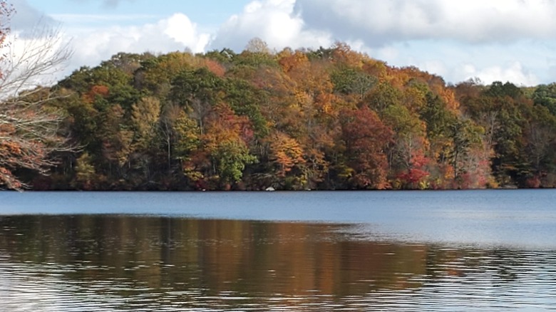 Fall foliage is in bloom among the trees of Nehantic State Forest along Powers Lake in Connecticut