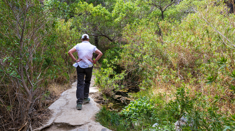 Woman hiking by creek in a wooded area