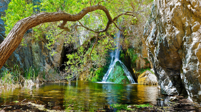 Desert waterfall cascades over rocks