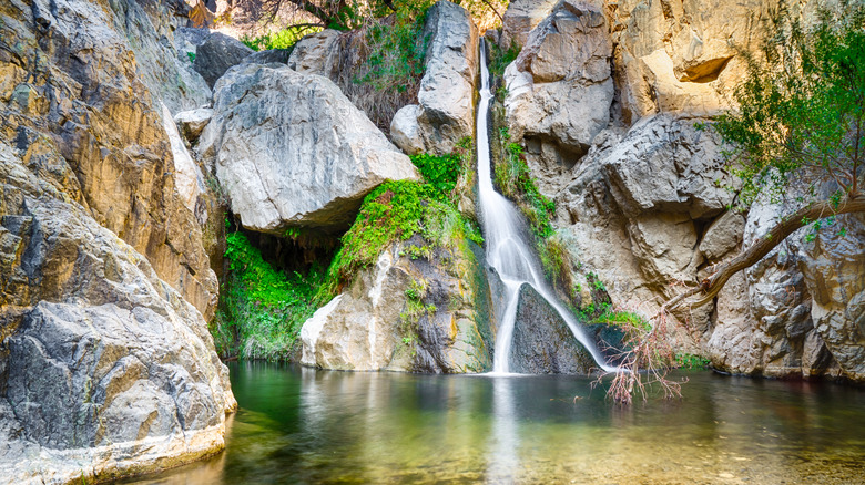 Thin waterfall in a desert oasis