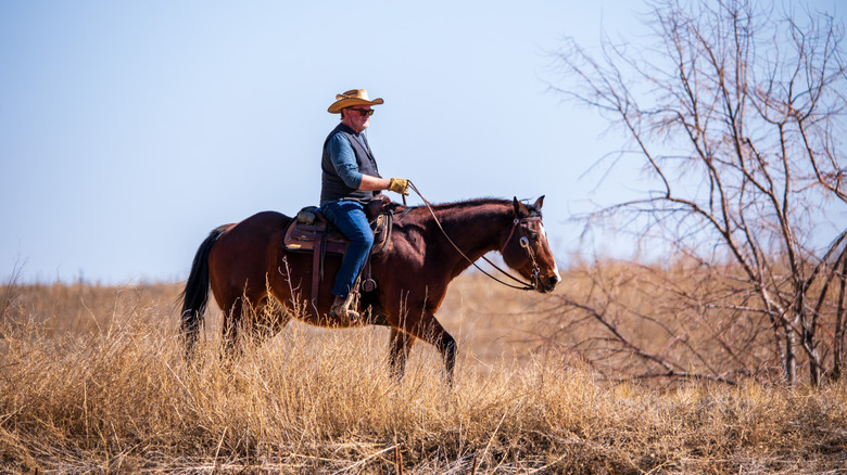 horseback rider on nature trail, Brighton, Colorado