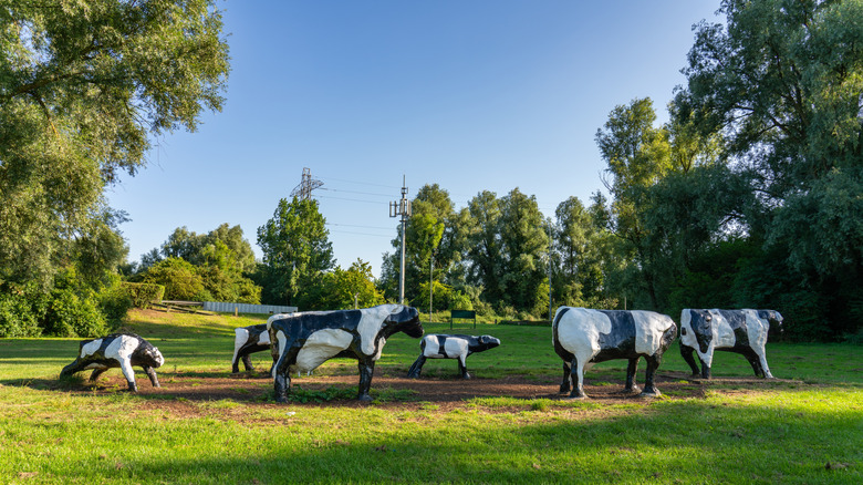 The Concrete Cows in Milton Keynes