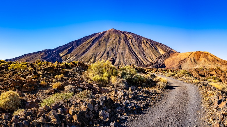 A gravel trail leading to the Teide-Pico Viejo volcano
