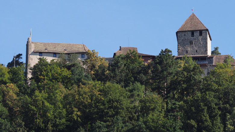 Hohenklingen Castle perched on a green hilltop