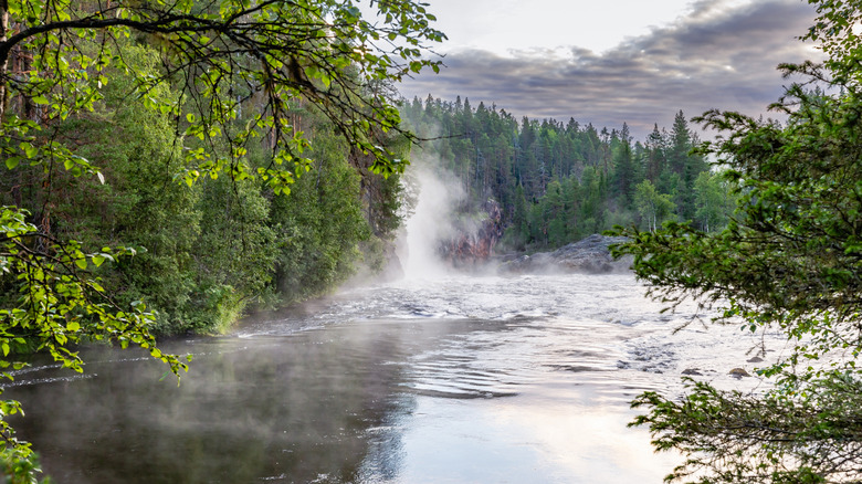 misty river in Oulanka National Park