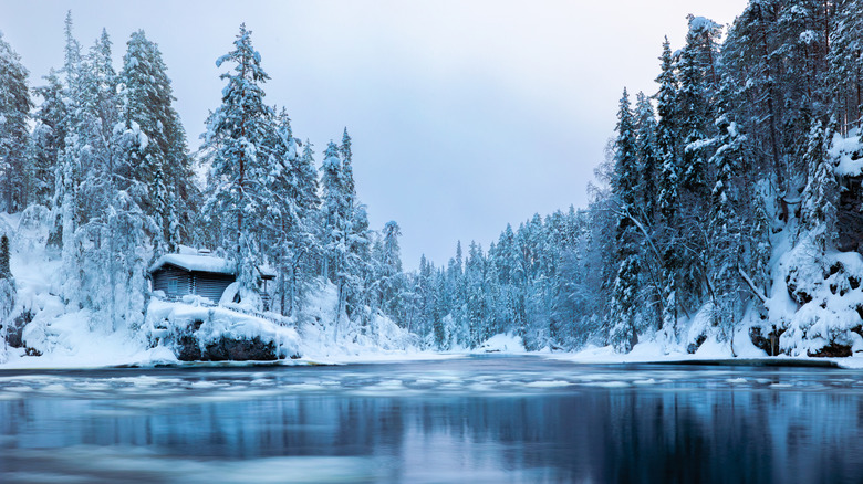 Freezing winter conditions in Oulanka National Park
