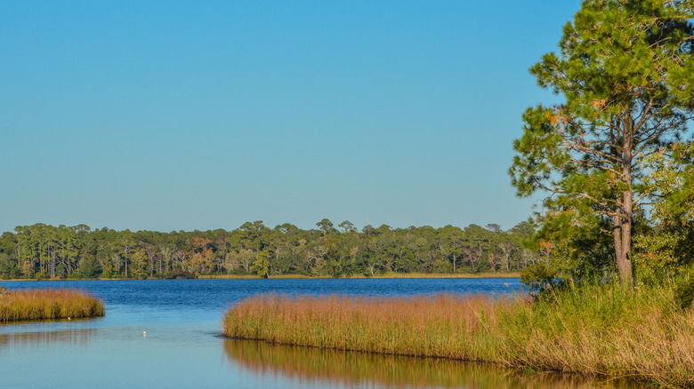 Basin Bayou in Freeport, Walton County, Florida