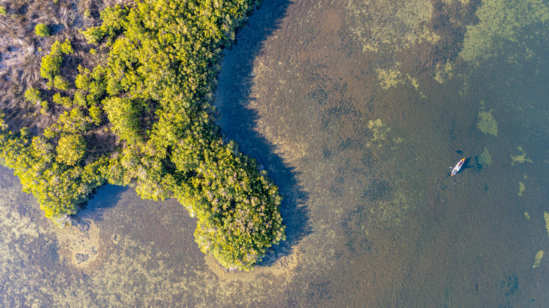 Ozello's mangrove islands, Florida