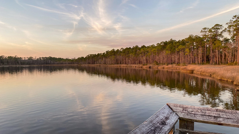 View of Tarkiln Bayou from one of the state park's observation deck
