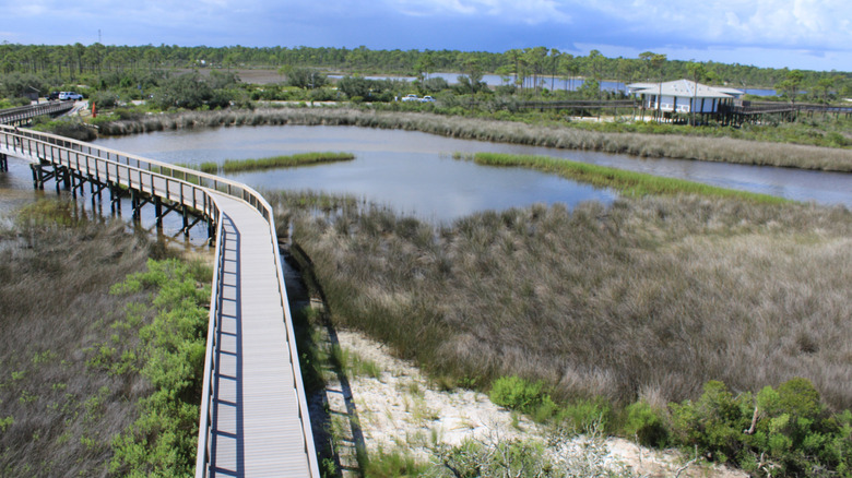 The boardwalk at Big Lagoon State Park