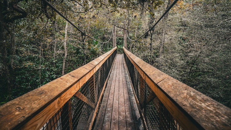 Wooden suspension bridge at Ravine Gardens State Park in Palatka, FL