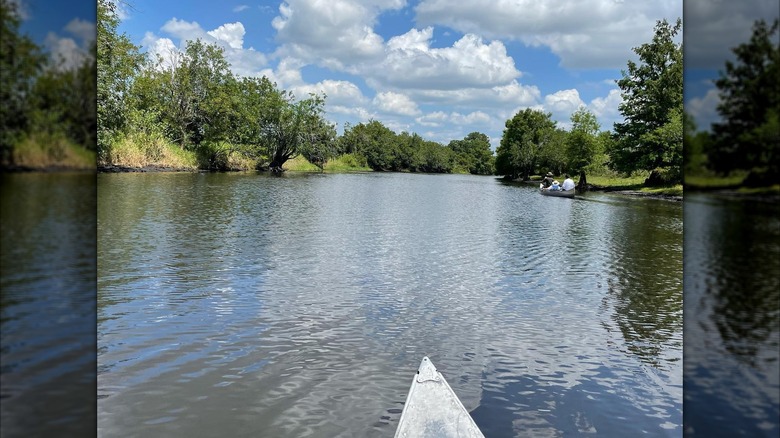 Edge of a canoe at Arbuckle Creek in Florida.