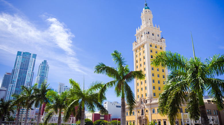 The Miami Freedom Tower rising above the palm trees in the skyline