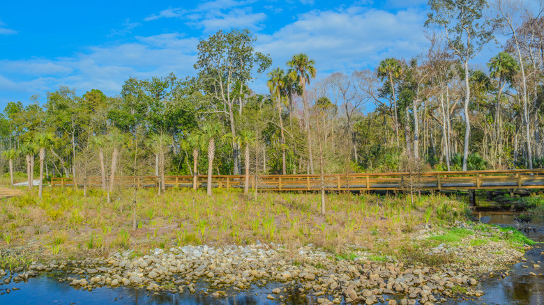 Stream flows under a walking trail at Nocatee