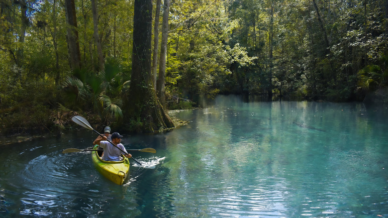 Silver Springs State Park, Florida