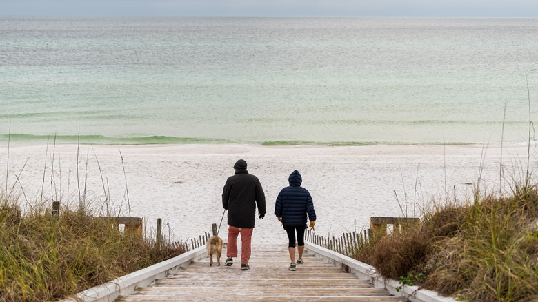 Image of a couple walking with a dog in Seaside in Florida's South Walton