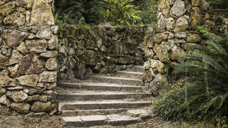 Stone steps surrounded by green foliage