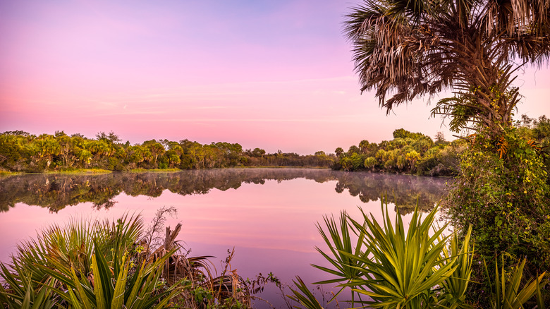 Myakka River State Park, Florida