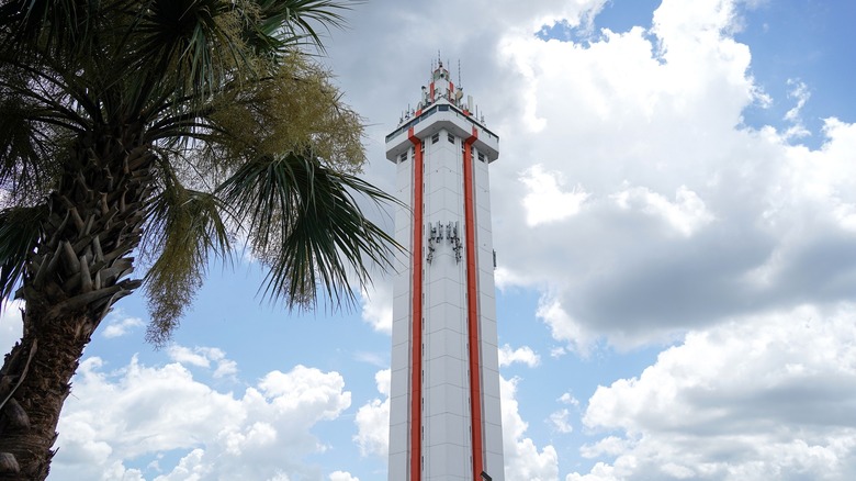 Citrus Tower with a palm tree in the foreground